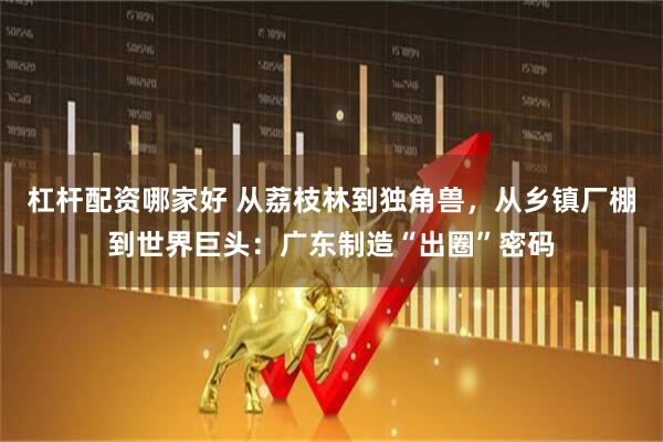 杠杆配资哪家好 从荔枝林到独角兽，从乡镇厂棚到世界巨头：广东制造“出圈”密码