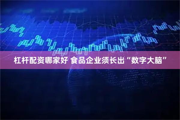 杠杆配资哪家好 食品企业须长出“数字大脑”