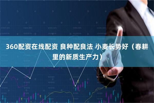360配资在线配资 良种配良法 小麦长势好（春耕里的新质生产力）