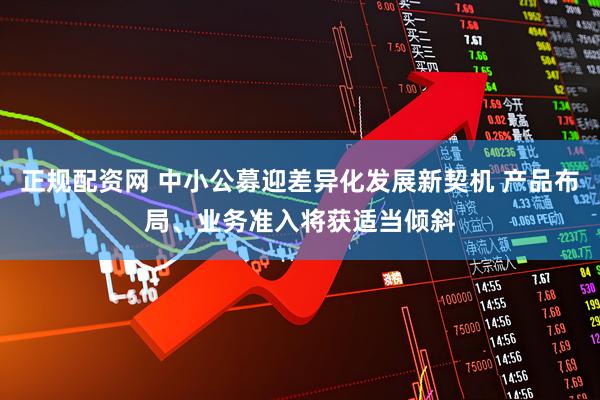 正规配资网 中小公募迎差异化发展新契机 产品布局、业务准入将获适当倾斜